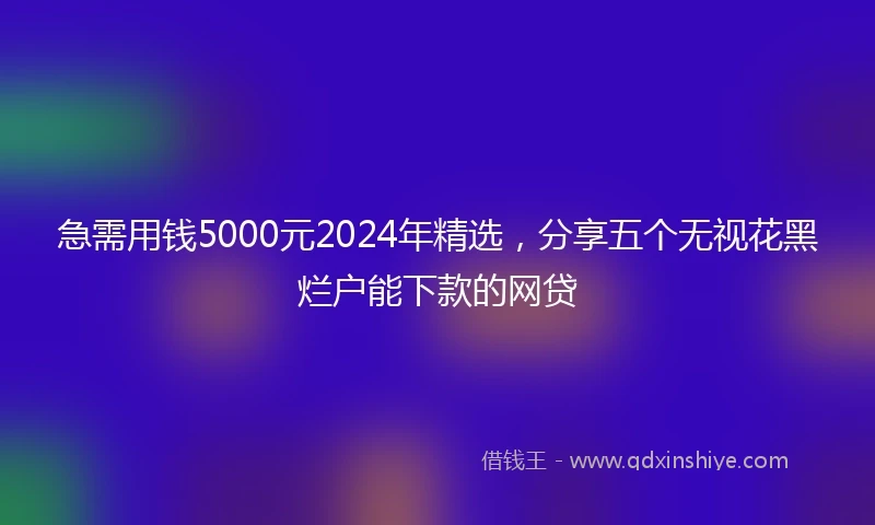 急需用钱5000元2024年精选，分享五个无视花黑烂户能下款的网贷