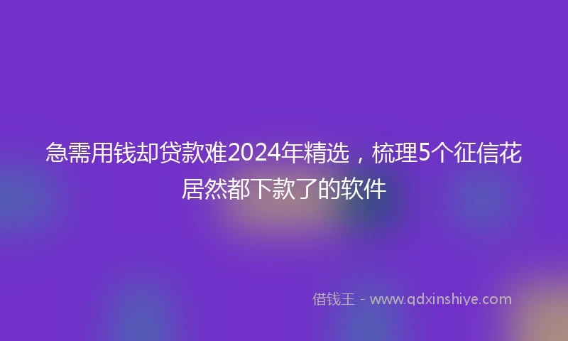 急需用钱却贷款难2024年精选，梳理5个征信花居然都下款了的软件