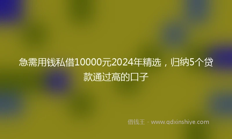 急需用钱私借10000元2024年精选，归纳5个贷款通过高的口子