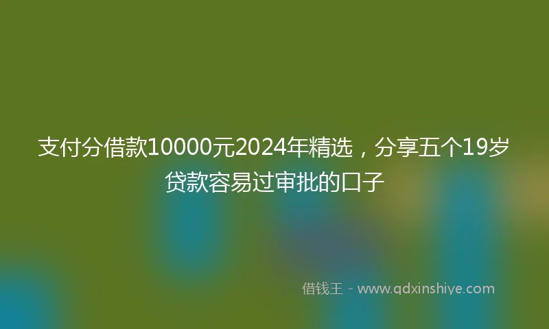 支付分借款10000元2024年精选，分享五个19岁贷款容易过审批的口子