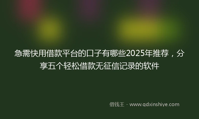 急需快用借款平台的口子有哪些2025年推荐，分享五个轻松借款无征信记录的软件