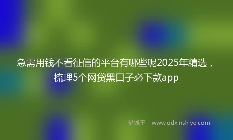 急需用钱不看征信的平台有哪些呢2025年精选，梳理5个网贷黑口子必下款app