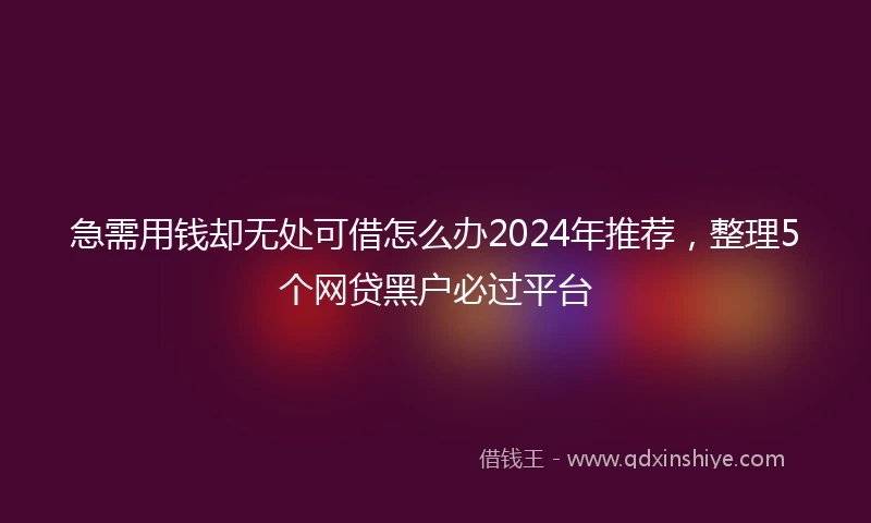 急需用钱却无处可借怎么办2024年推荐，整理5个网贷黑户必过平台