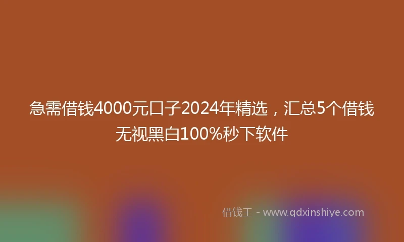 急需借钱4000元口子2024年精选，汇总5个借钱无视黑白100%秒下软件