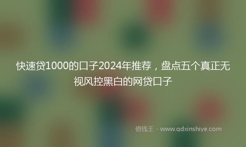 快速贷1000的口子2024年推荐，盘点五个真正无视风控黑白的网贷口子