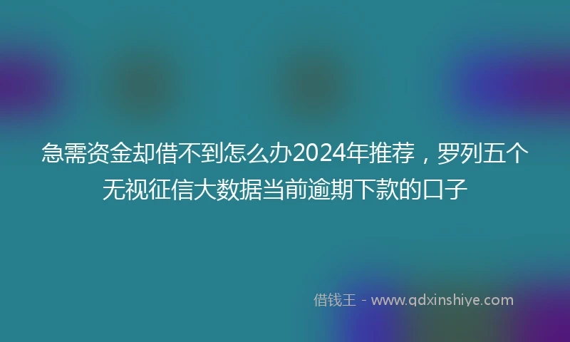急需资金却借不到怎么办2024年推荐，罗列五个无视征信大数据当前逾期下款的口子