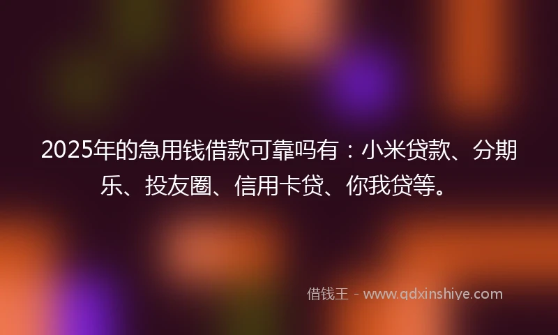 2025年的急用钱借款可靠吗有：小米贷款、分期乐、投友圈、信用卡贷、你我贷等。