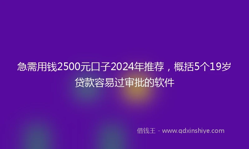 急需用钱2500元口子2024年推荐，概括5个19岁贷款容易过审批的软件