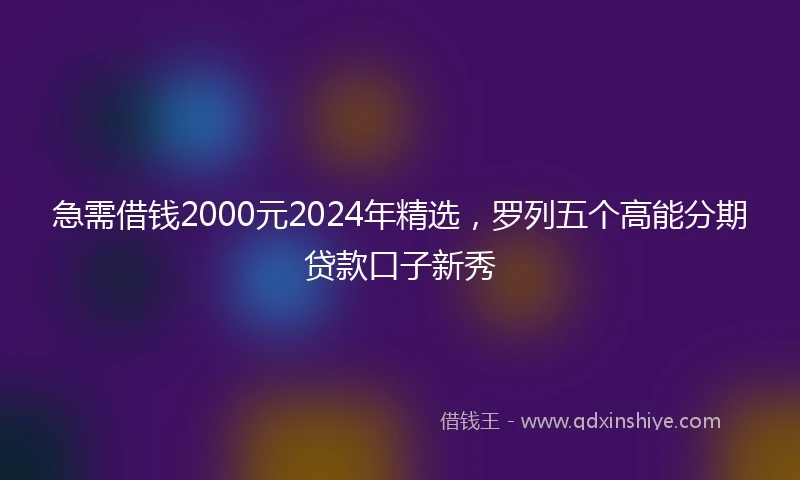 急需借钱2000元2024年精选，罗列五个高能分期贷款口子新秀