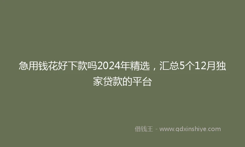 急用钱花好下款吗2024年精选，汇总5个12月独家贷款的平台