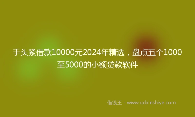 手头紧借款10000元2024年精选，盘点五个1000至5000的小额贷款软件