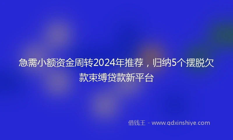 急需小额资金周转2024年推荐，归纳5个摆脱欠款束缚贷款新平台