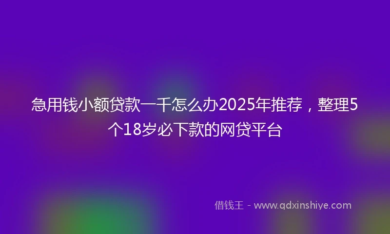 急用钱小额贷款一千怎么办2025年推荐，整理5个18岁必下款的网贷平台