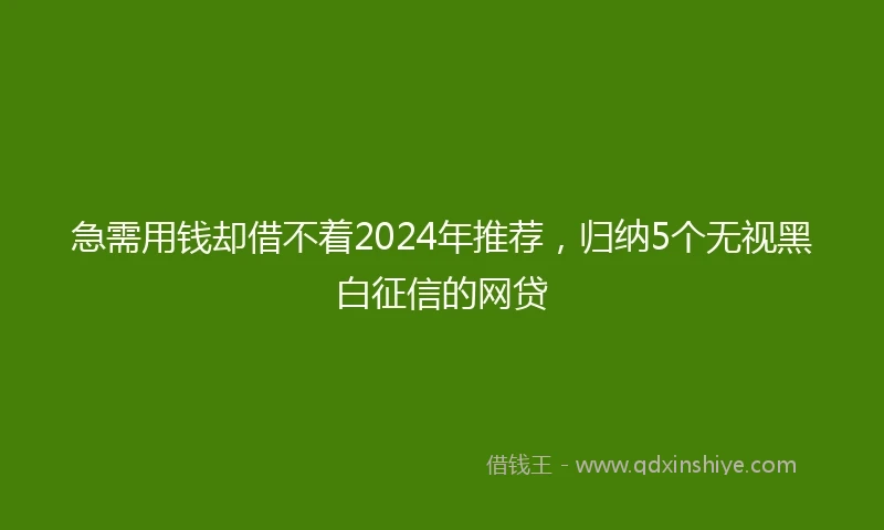 急需用钱却借不着2024年推荐，归纳5个无视黑白征信的网贷