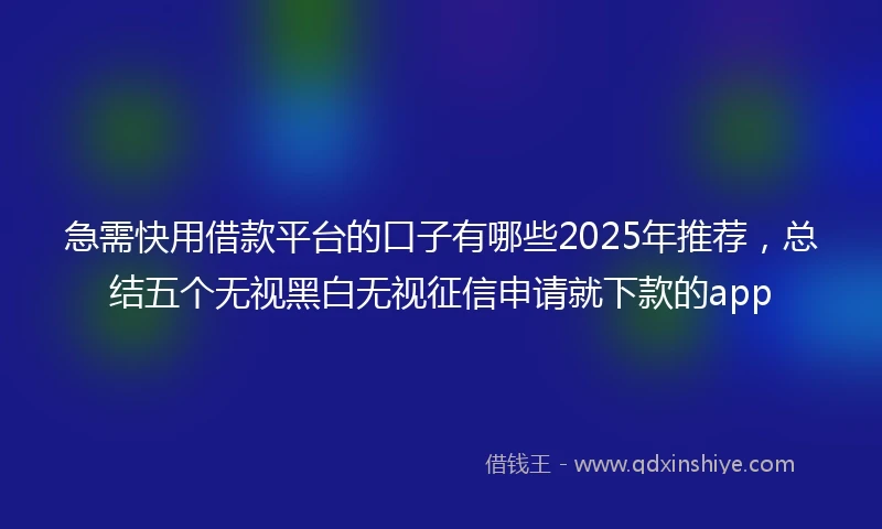 急需快用借款平台的口子有哪些2025年推荐，总结五个无视黑白无视征信申请就下款的app