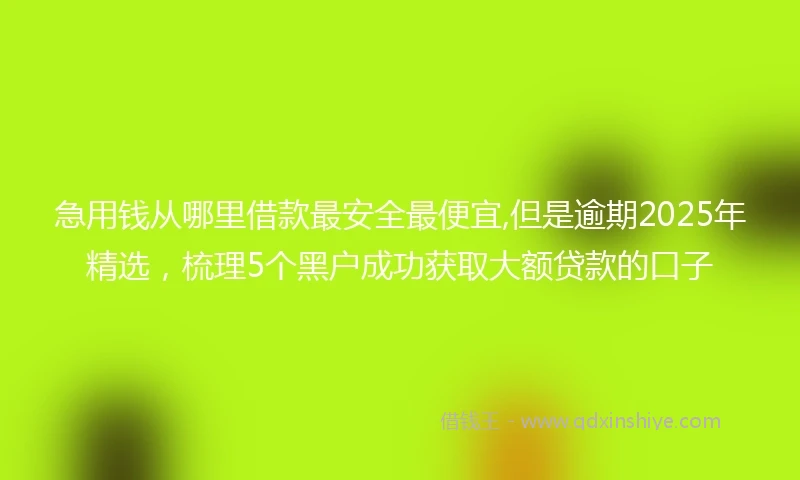 急用钱从哪里借款最安全最便宜,但是逾期2025年精选，梳理5个黑户成功获取大额贷款的口子