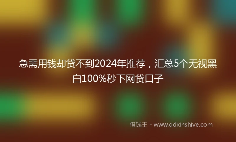 急需用钱却贷不到2024年推荐，汇总5个无视黑白100%秒下网贷口子