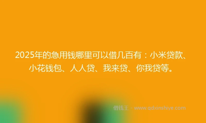 2025年的急用钱哪里可以借几百有：小米贷款、小花钱包、人人贷、我来贷、你我贷等。