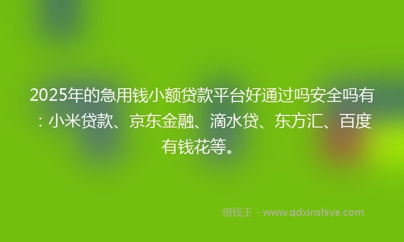 2025年的急用钱小额贷款平台好通过吗安全吗有：小米贷款、京东金融、滴水贷、东方汇、百度有钱花等。