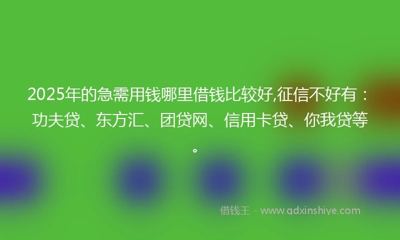 2025年的急需用钱哪里借钱比较好,征信不好有：功夫贷、东方汇、团贷网、信用卡贷、你我贷等。