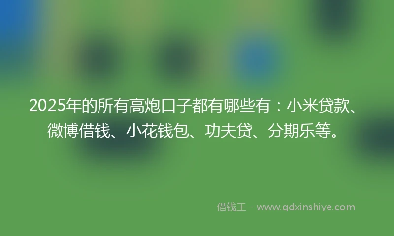 2025年的所有高炮口子都有哪些有：小米贷款、微博借钱、小花钱包、功夫贷、分期乐等。