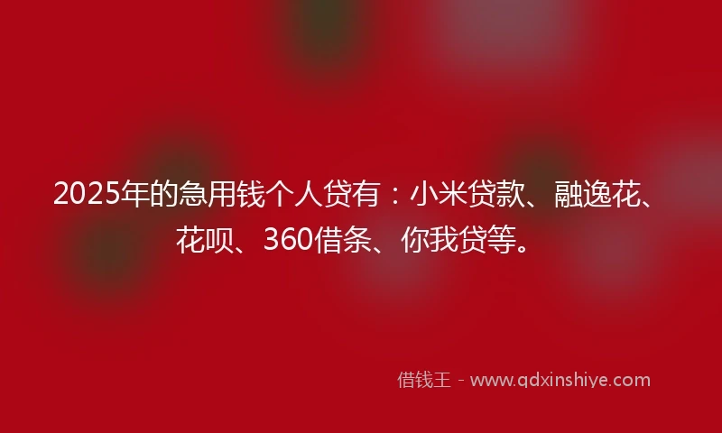 2025年的急用钱个人贷有：小米贷款、融逸花、花呗、360借条、你我贷等。