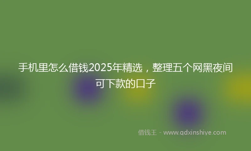 手机里怎么借钱2025年精选，整理五个网黑夜间可下款的口子