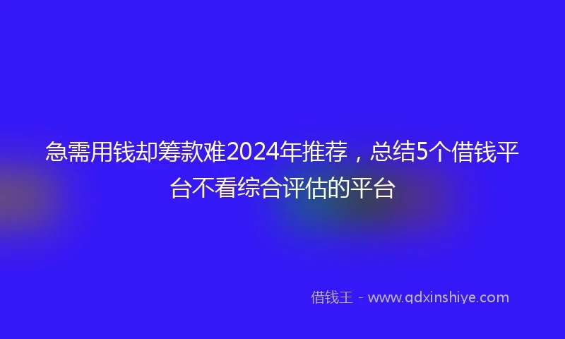 急需用钱却筹款难2024年推荐，总结5个借钱平台不看综合评估的平台
