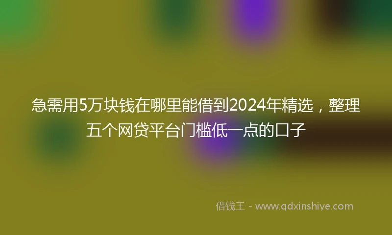 急需用5万块钱在哪里能借到2024年精选，整理五个网贷平台门槛低一点的口子