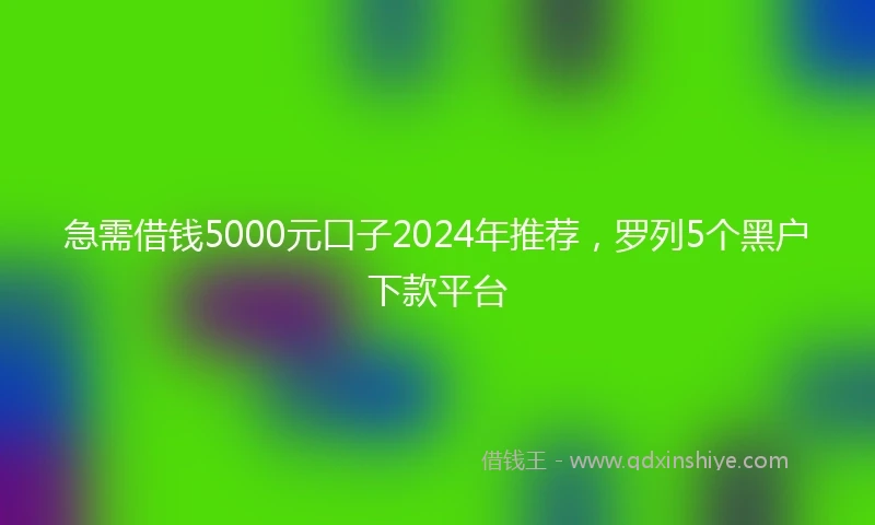 急需借钱5000元口子2024年推荐，罗列5个黑户下款平台
