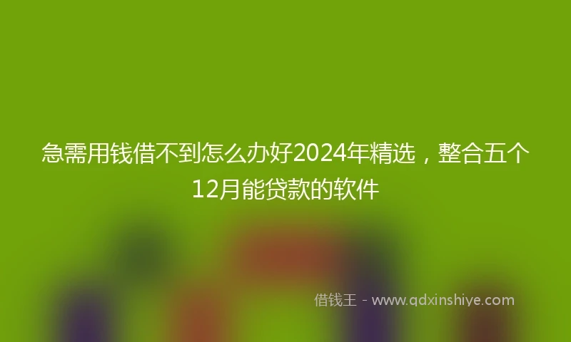 急需用钱借不到怎么办好2024年精选，整合五个12月能贷款的软件