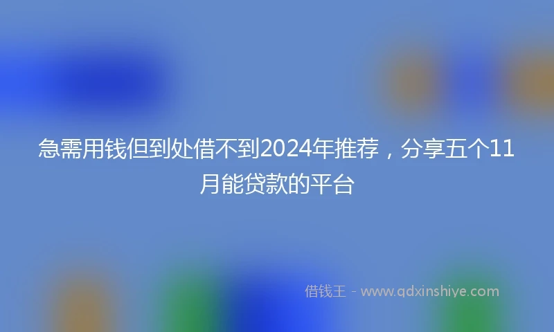 急需用钱但到处借不到2024年推荐，分享五个11月能贷款的平台