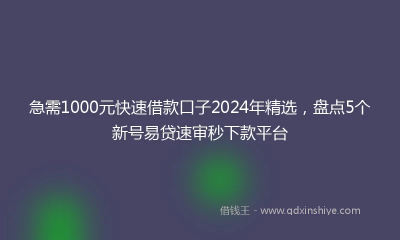 急需1000元快速借款口子2024年精选，盘点5个新号易贷速审秒下款平台