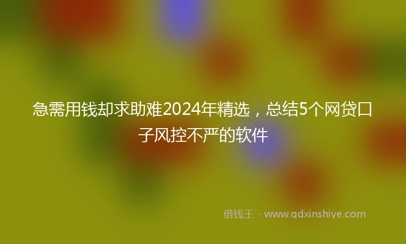 急需用钱却求助难2024年精选，总结5个网贷口子风控不严的软件