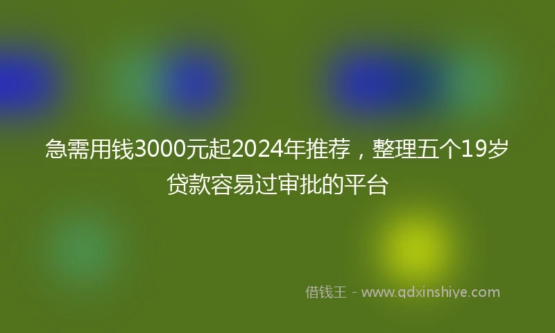 急需用钱3000元起2024年推荐，整理五个19岁贷款容易过审批的平台