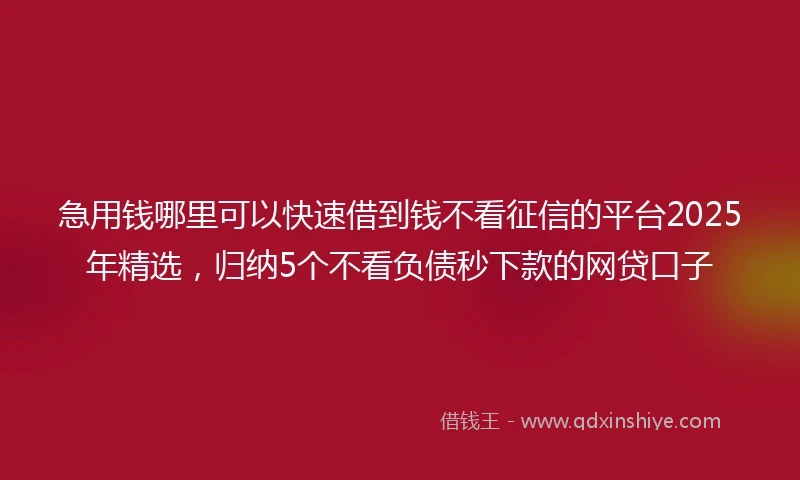 急用钱哪里可以快速借到钱不看征信的平台2025年精选，归纳5个不看负债秒下款的网贷口子