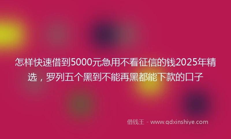 怎样快速借到5000元急用不看征信的钱2025年精选，罗列五个黑到不能再黑都能下款的口子