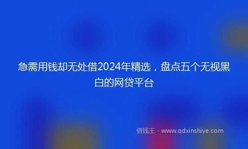 急需用钱却无处借2024年精选，盘点五个无视黑白的网贷平台