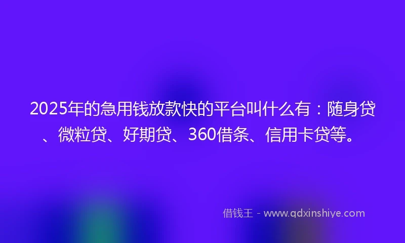 2025年的急用钱放款快的平台叫什么有：随身贷、微粒贷、好期贷、360借条、信用卡贷等。