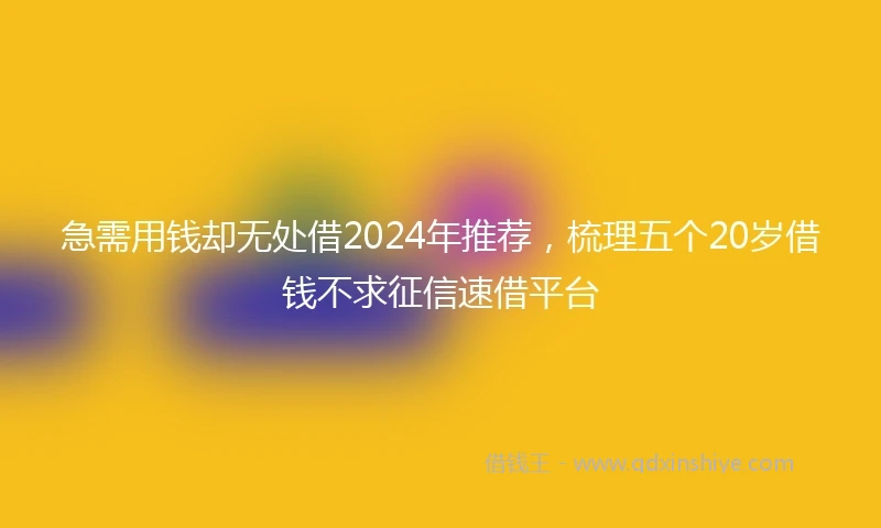 急需用钱却无处借2024年推荐，梳理五个20岁借钱不求征信速借平台