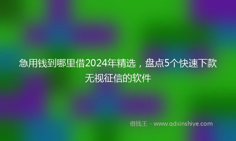 急用钱到哪里借2024年精选，盘点5个快速下款无视征信的软件