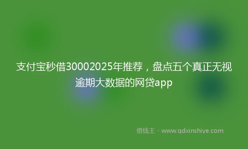 支付宝秒借30002025年推荐，盘点五个真正无视逾期大数据的网贷app