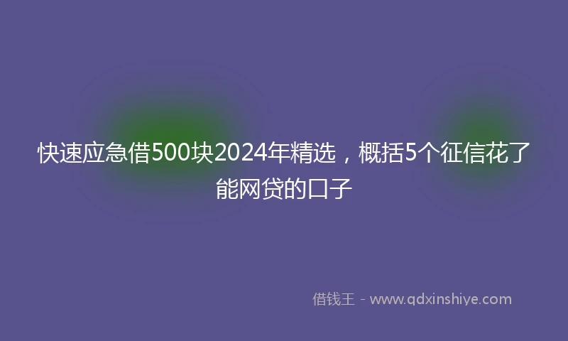 快速应急借500块2024年精选，概括5个征信花了能网贷的口子