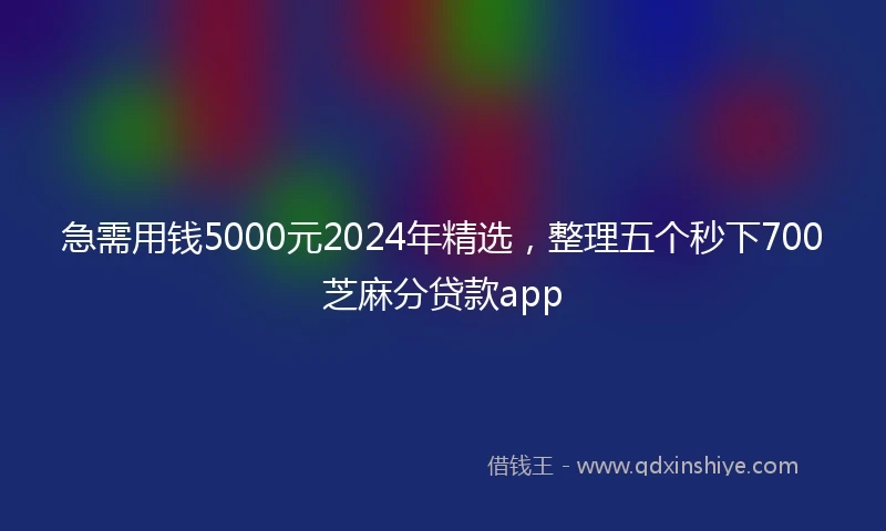 急需用钱5000元2024年精选，整理五个秒下700芝麻分贷款app