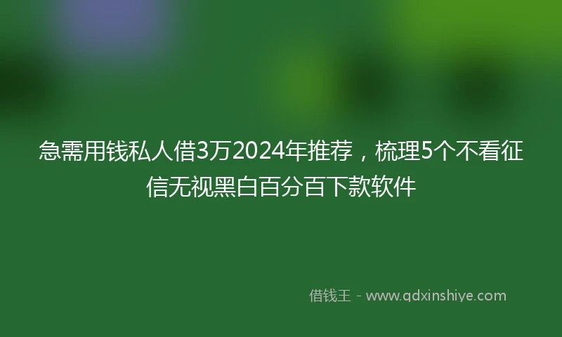 急需用钱私人借3万2024年推荐，梳理5个不看征信无视黑白百分百下款软件