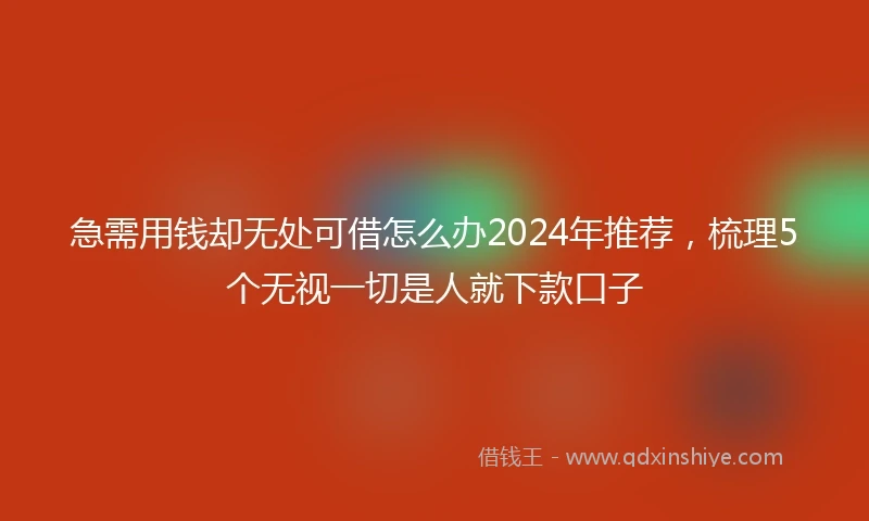 急需用钱却无处可借怎么办2024年推荐，梳理5个无视一切是人就下款口子