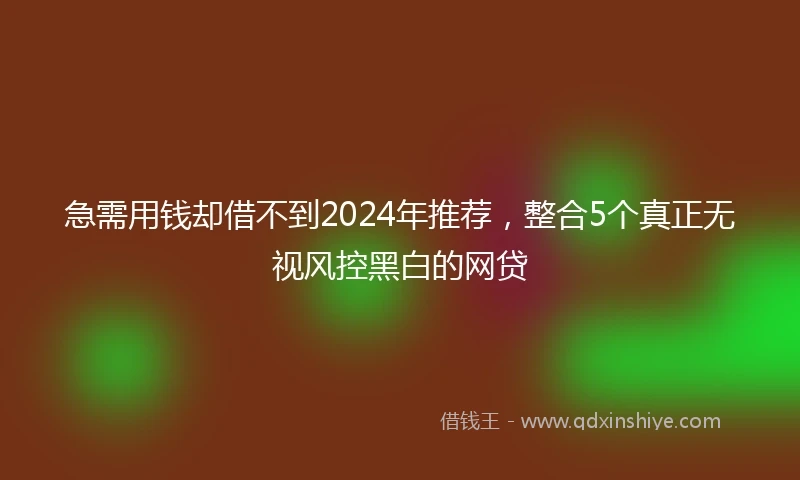 急需用钱却借不到2024年推荐，整合5个真正无视风控黑白的网贷