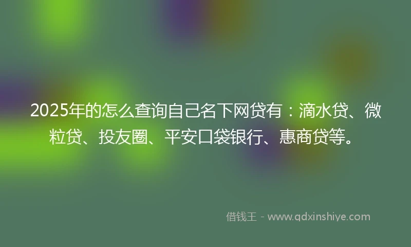 2025年的怎么查询自己名下网贷有：滴水贷、微粒贷、投友圈、平安口袋银行、惠商贷等。