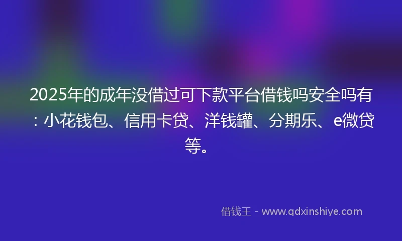 2025年的成年没借过可下款平台借钱吗安全吗有：小花钱包、信用卡贷、洋钱罐、分期乐、e微贷等。