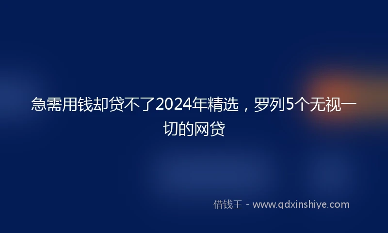 急需用钱却贷不了2024年精选，罗列5个无视一切的网贷